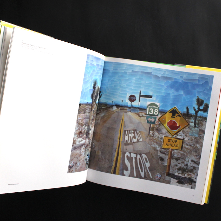 A Bigger Picture - David Hockney