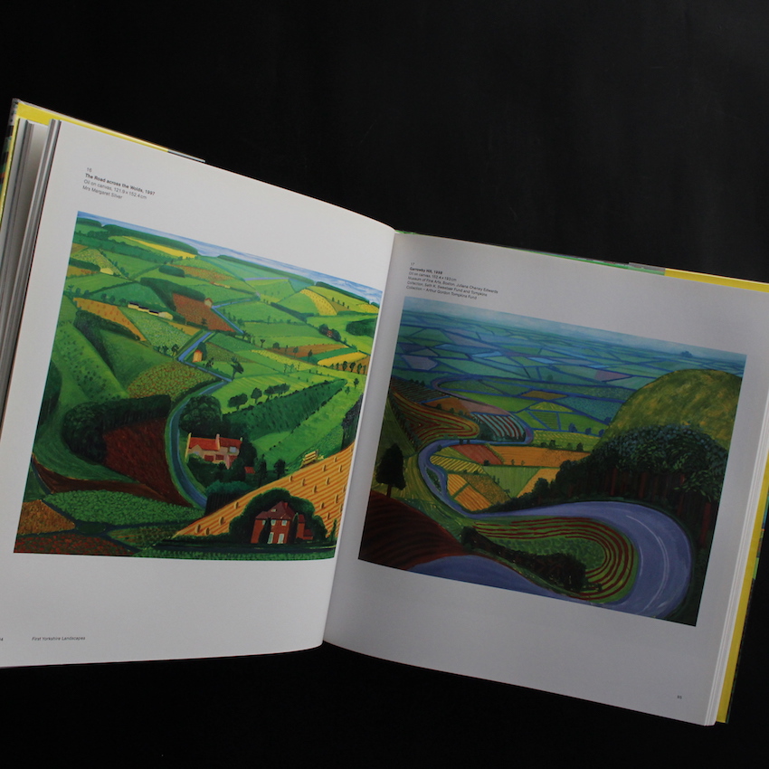 A Bigger Picture - David Hockney