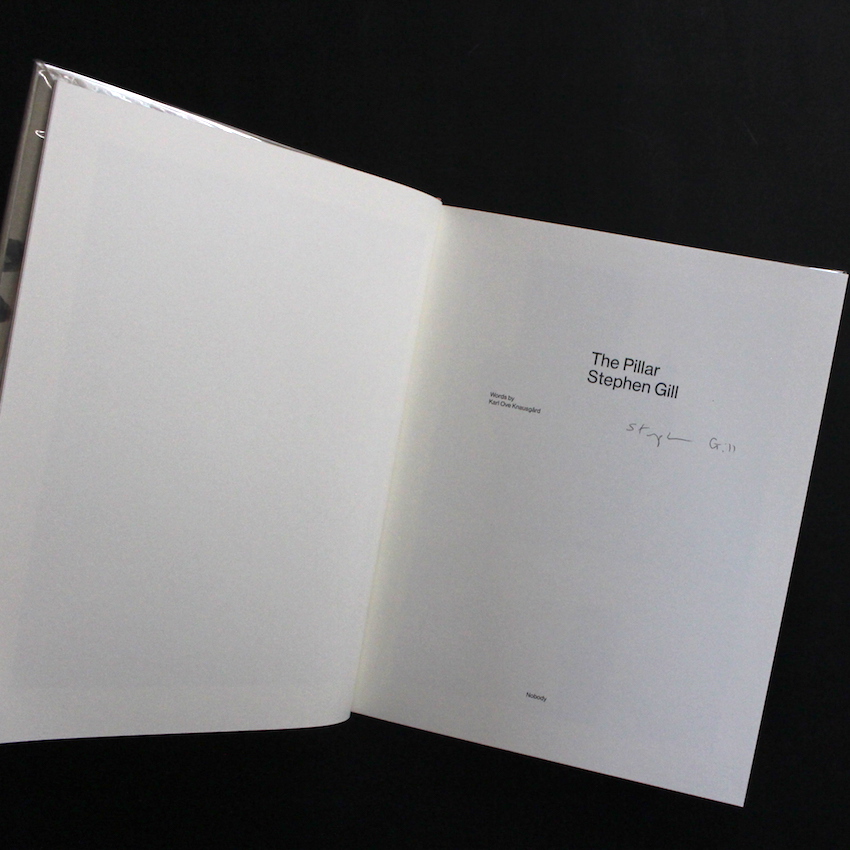 The Pillar（Signed） - Stephen Gill