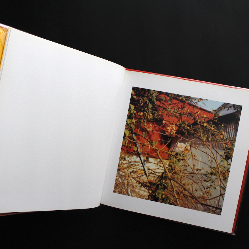 2 1/4（Third Edition） - William Eggleston