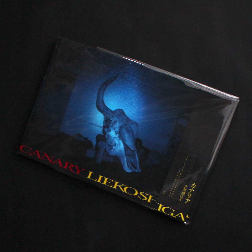 カナリア / Canary（Acceptable） - 志賀 理江子 / Lieko Shiga