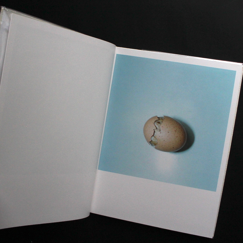 アイーラ / Aila（First Edition） - 川内 倫子 / Rinko Kawauchi