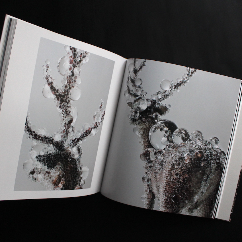 シンセシス / Synthesis（With Drawing） - 名和 晃平 / Kohei Nawa