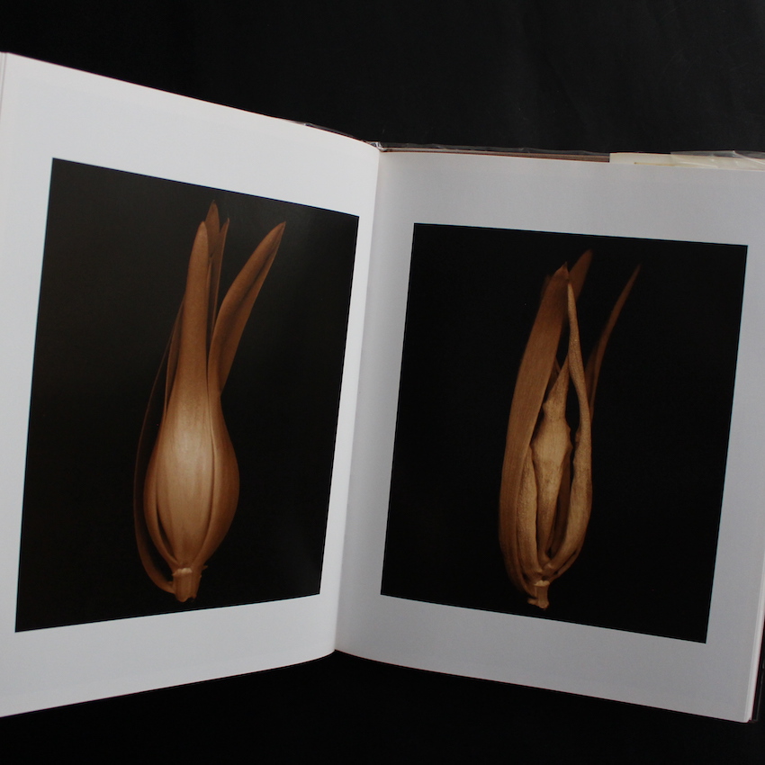 Flower Portraits The Life Cycle of Beauty - Joyce Tenneson