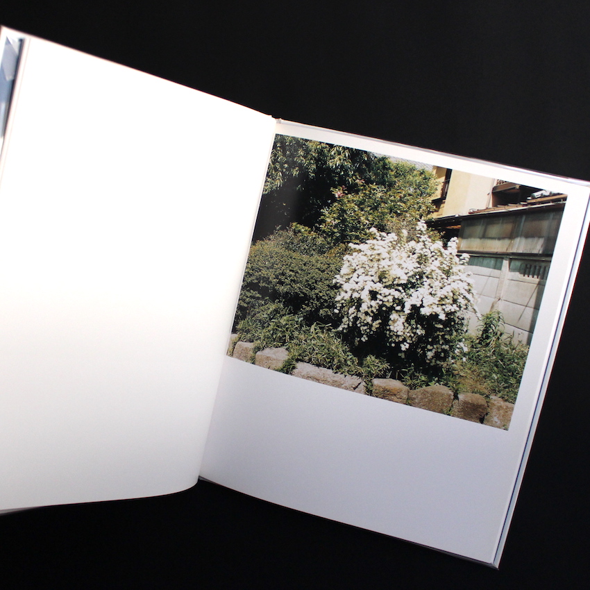 Shapes of Blooming（Signed） - 鈴木 親 / Chikashi Suzuki