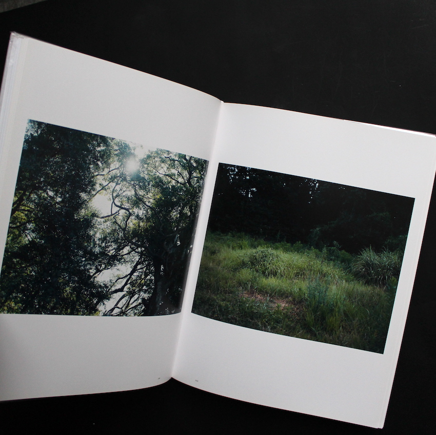 意識の流れ / Stream of Consciousness（White Cover） - 鈴木 理策