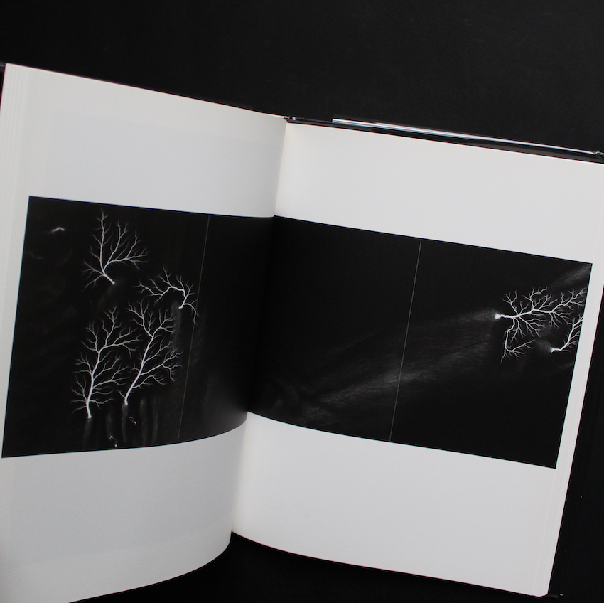 光の自然 / Nature of Light（Signed） - 杉本 博司 / Hiroshi Sugimoto