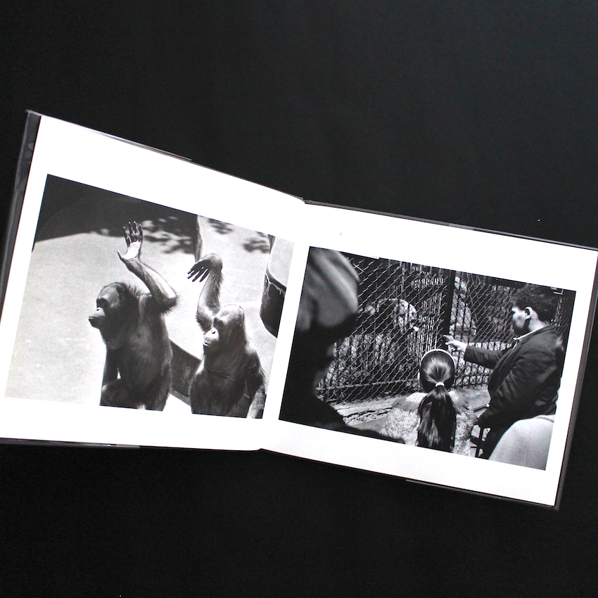 The Animals - Garry Winogrand