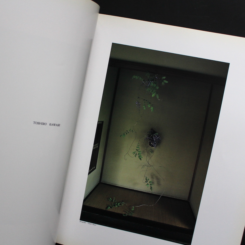 Hysteric No.2 Self - Portrait 1991