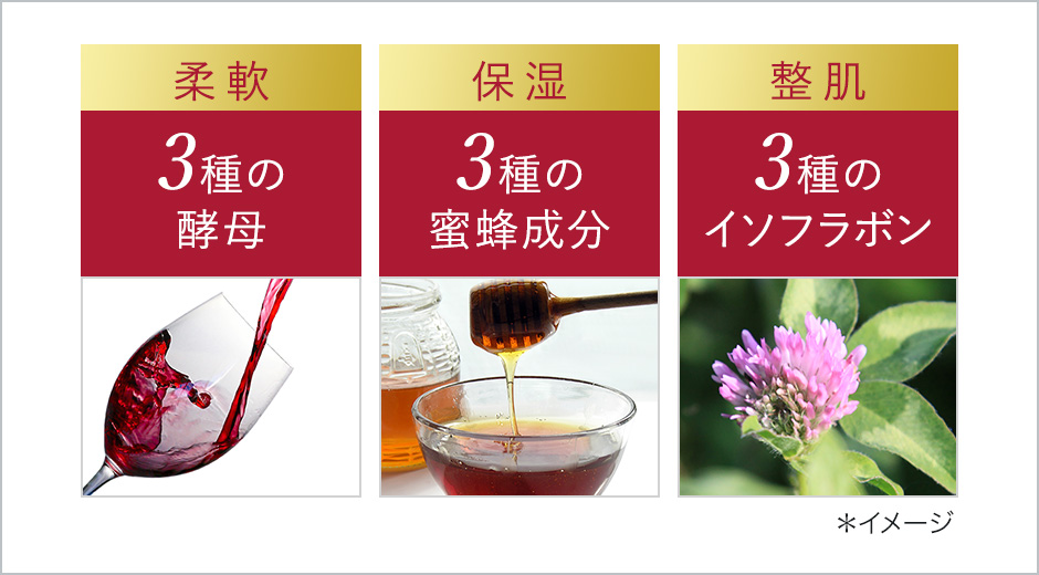 エンリッチローション | マードゥレクス