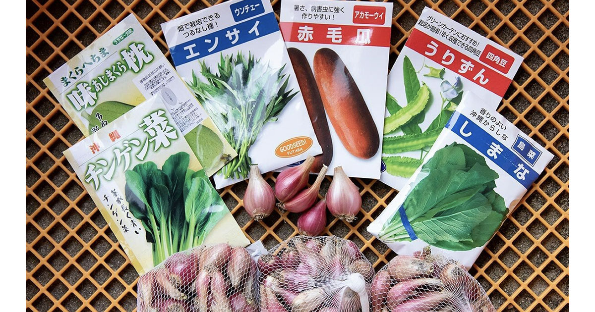 猛暑で今までの夏野菜が育たない…そんなときこそ「沖縄野菜」に注目を