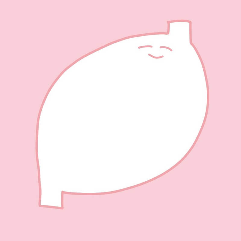 いよわ、全24曲の3rdアルバム『映画、陽だまり、卒業式』リリース 「熱