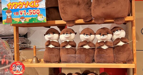 四国水族館オリジナル「カワウソぬいぐるみ」くじ発売｜あとなびマガジン