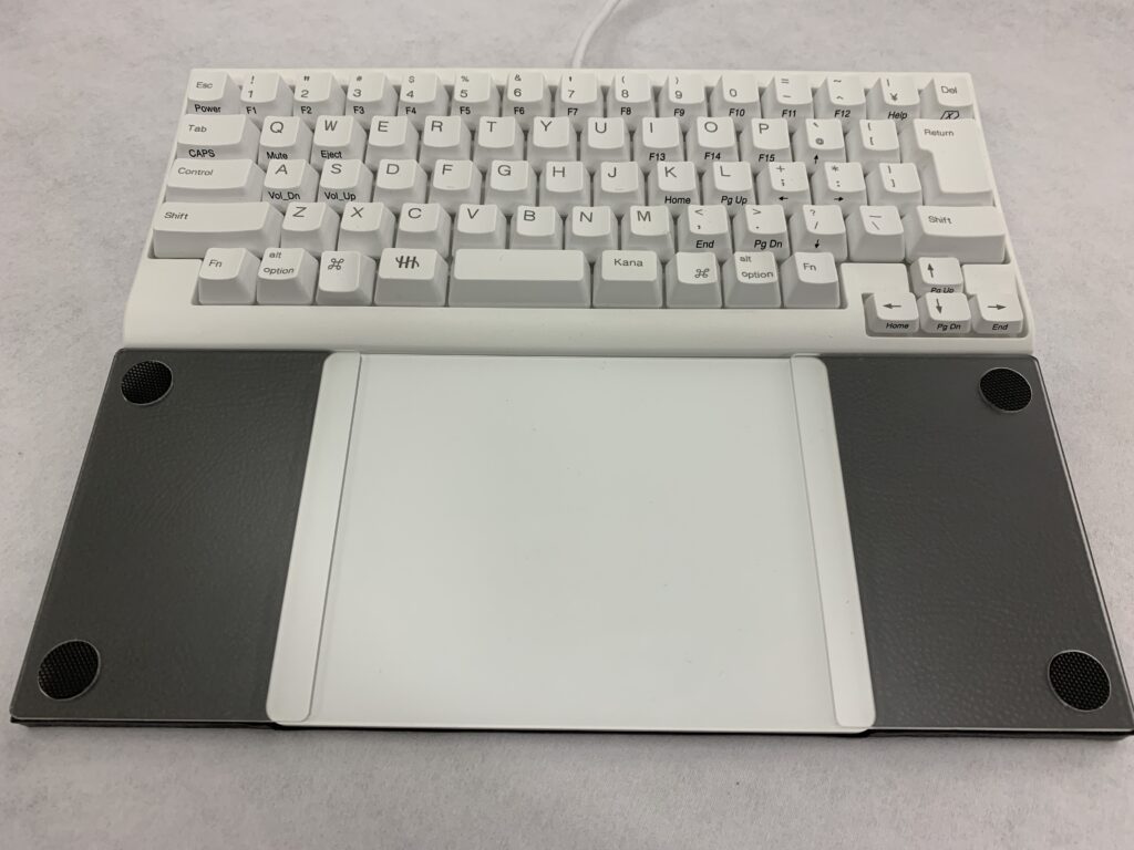 magicTrayPalm | #magicTray