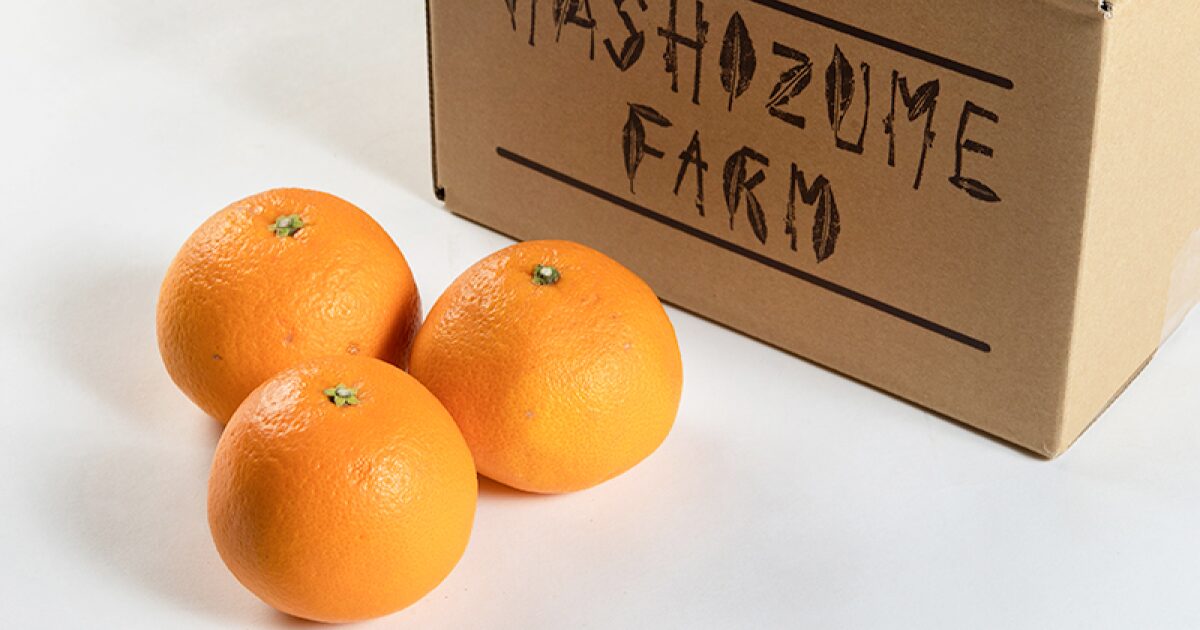 春峰(しゅんぽう)｜口の中ではじけるプチプチ食感。春を告げる爽やかな