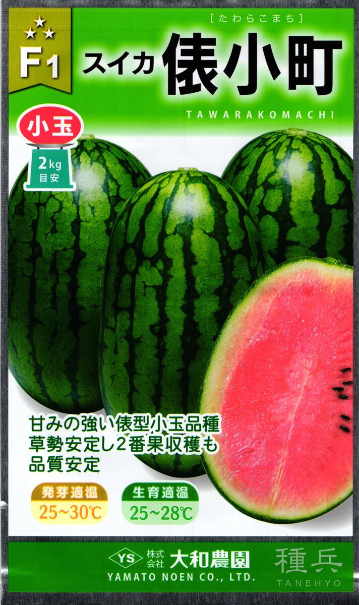 楕円小玉スイカ 種 『俵小町』 大和農園 | たね,果菜の種,スイカ,小玉