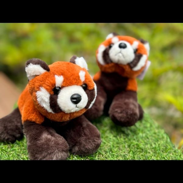 天王寺動物園オリジナル】レッサーパンダぬいぐるみ | 天王寺動物園
