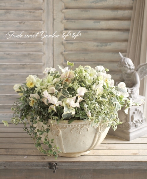 【花】 こんにちは、カワシマ種苗です🍀 本日は入荷のご案内です。 数量限定で