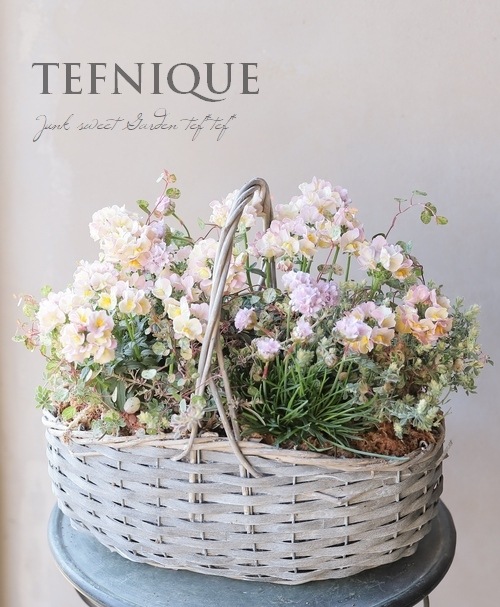 5_000000017245.jpg?1678209903