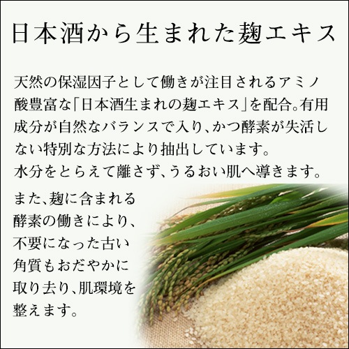 テラの輝きモイスチャークリーム 詰替パウチ400g｜トータルヘルス