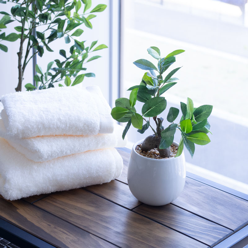 インテリアグリーン ガジュマル F370-PU513B/47L if homeの通販｜東京