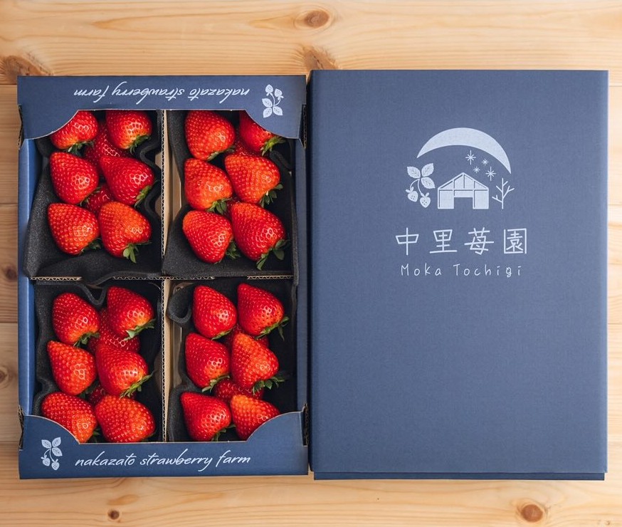 中里苺園 ギフトBOX （大）とちあいか | とちぎの食から探す,いちご