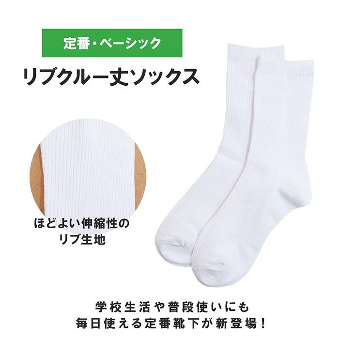 リブクールソックス2足組 19-21cm/22-24cm 靴下 くつ下 小学生 中学生