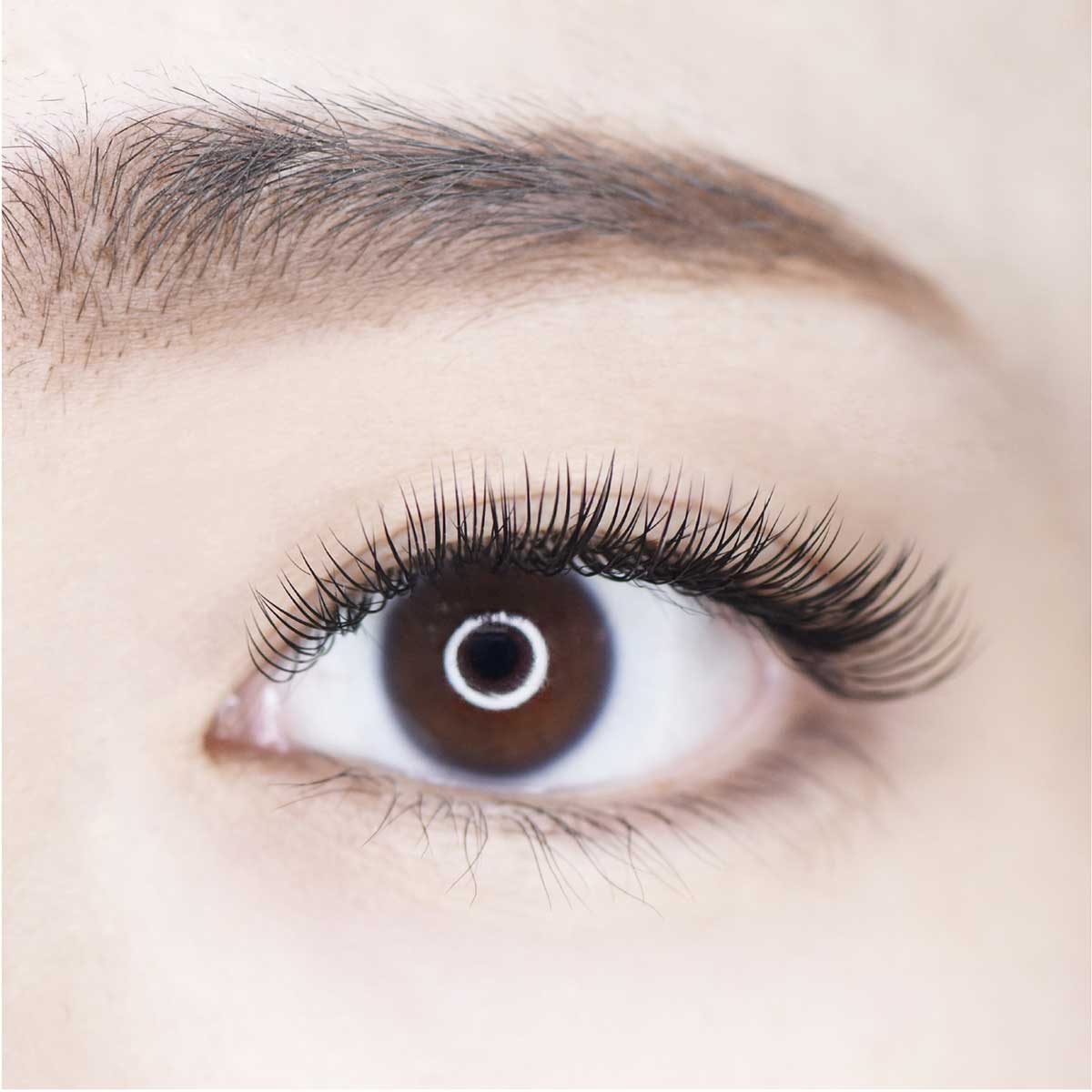 クローバーフラットライトラッシュ Jカール【まつ毛エクステンション】