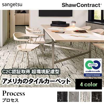 ショウ・コントラクト タイルカーペット [プロセス] 302-01100～01585