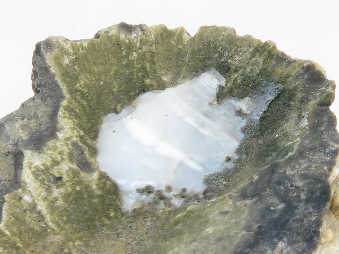 福島県西会津町宝坂産 オパールノジュール(蛋白石)/Opal