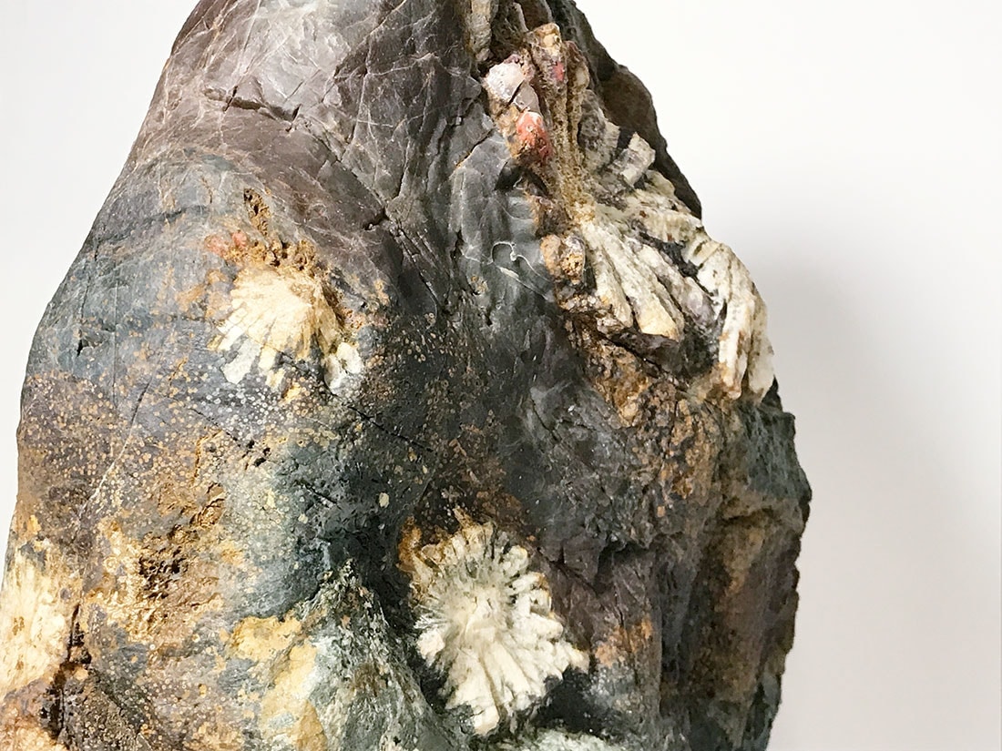 岐阜県根尾谷産 菊花石 (木製台座付き)