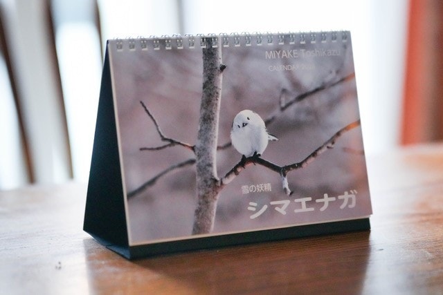 2026 卓上カレンダー 雪の妖精 シマエナガ （802702）（三宅利一