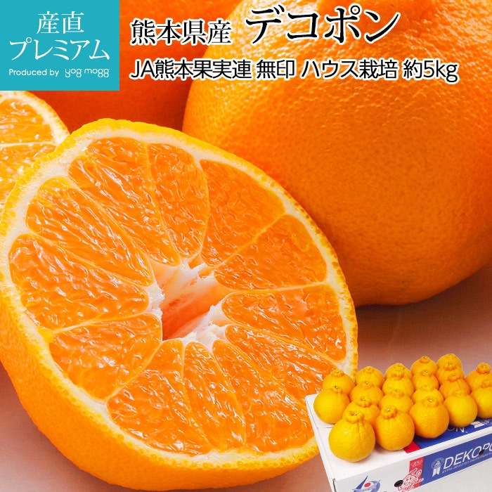 でこぽん　※でこぽん様以外 購入不可 あのデコポン(不知火)と同品種】 本場・熊本県産 BIGデコみかん 2玉