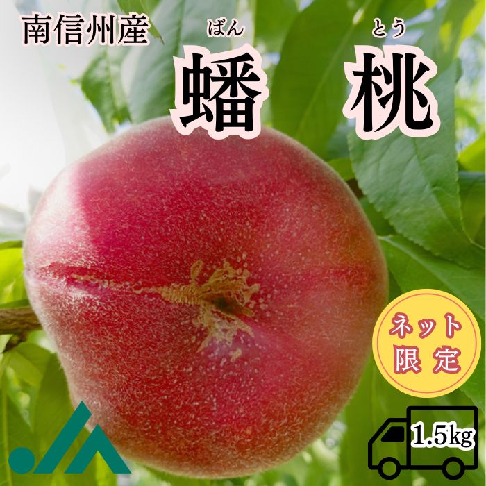 S131 桃 蟠桃 ばんとう 約1.5kg(5～12玉) 【冷蔵】 8月上旬～発送