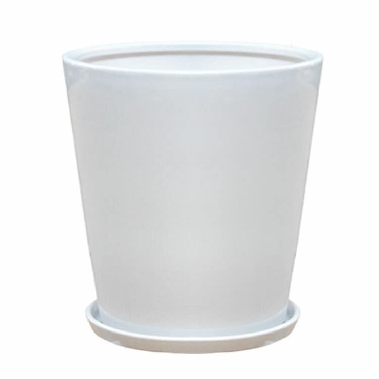 植木鉢 インテリアポット 大型 釉薬陶器製（艶有り）SGラウンド