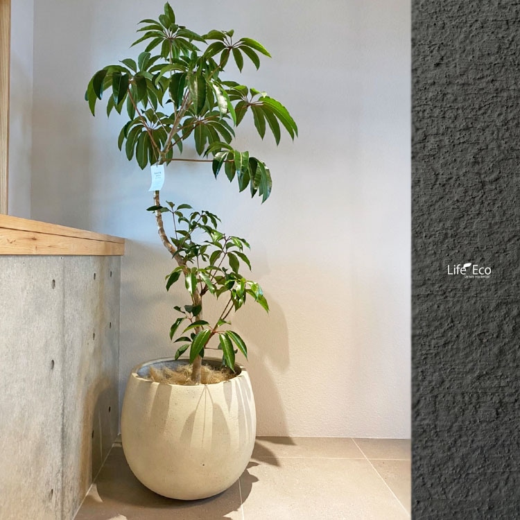 植木鉢・鉢カバー 軽量 大型 テラニアス バルーン アンティーク