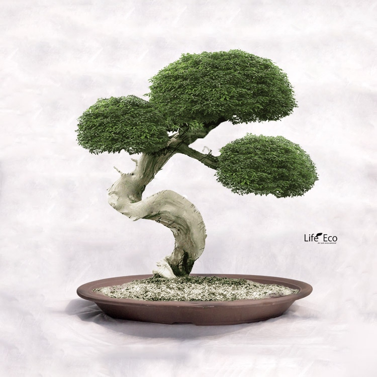 束口長方鉢 紫砂の鉢 盆栽鉢 植木鉢 小品盆栽鉢 大品盆栽鉢 長方鉢