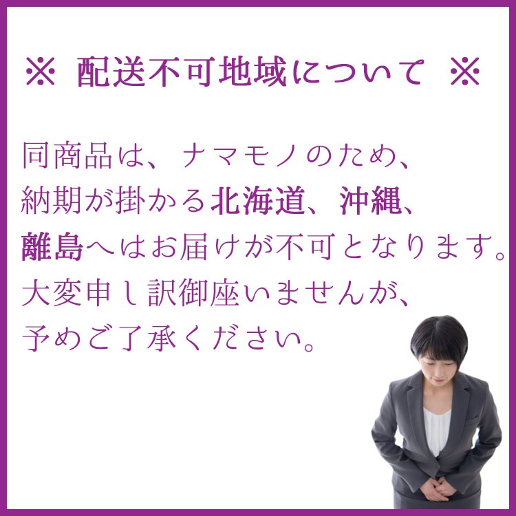 観葉植物 大型 シナモン（セイロンニッケイ） / 10寸・約W60cm×H160cm