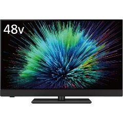 パナソニック【Panasonic】48V型 4K有機ELテレビ VIERA（ビエラ