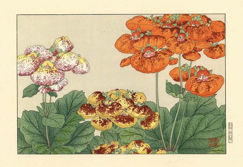 木版画のことなら『木版画 版元 芸艸堂 Woodblock print』