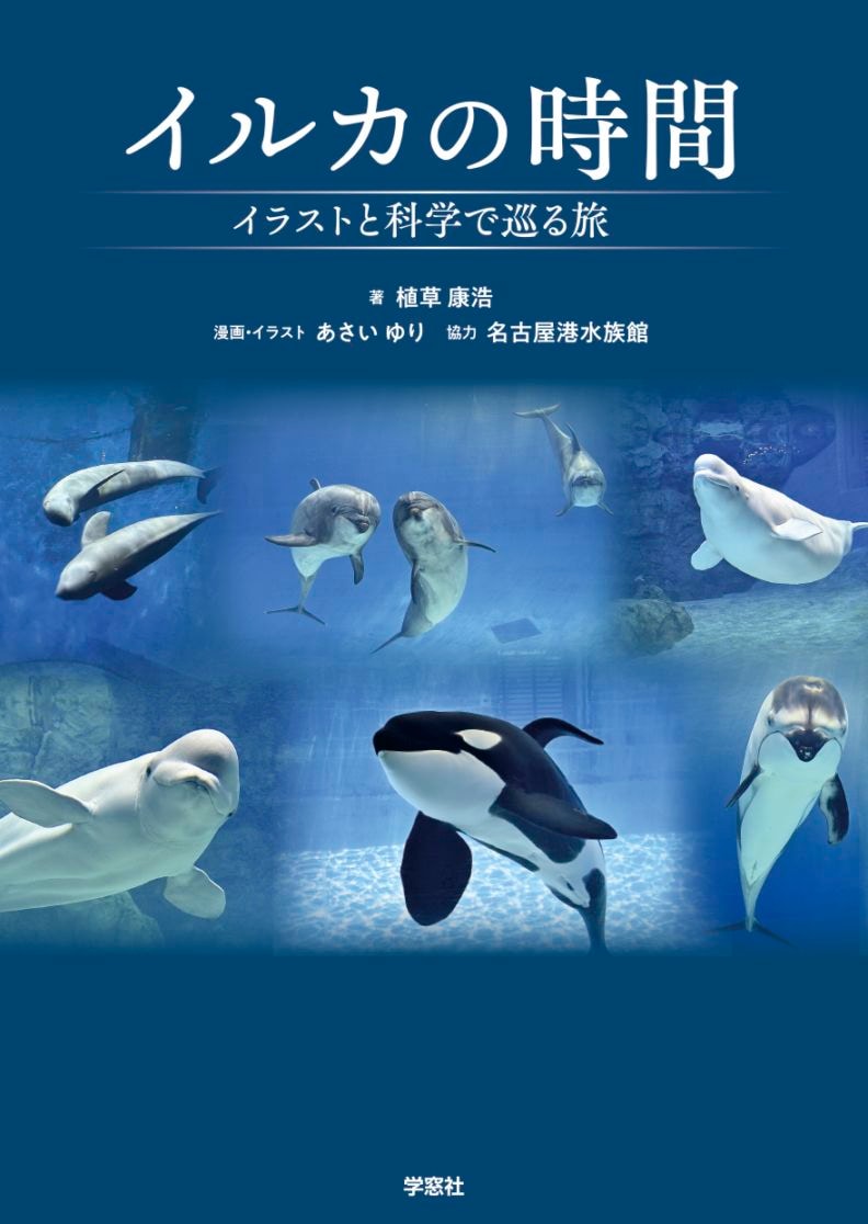 イルカの時間 イラストと科学で巡る旅 | すべての商品 | 株式会社学窓社