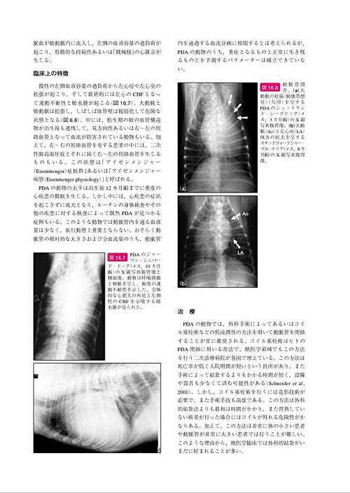 BSAVA 犬と猫の頭・頸・胸部の外科マニュアル | BSAVAマニュアル