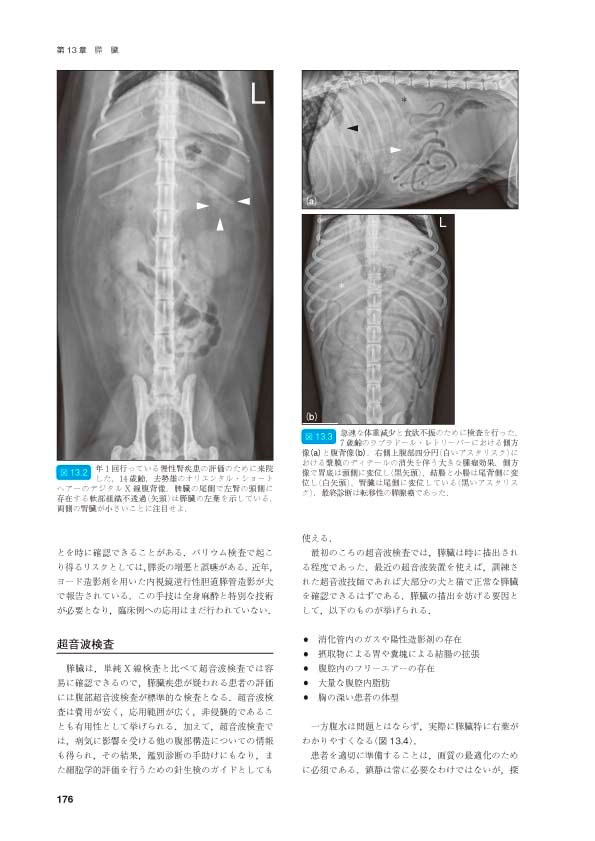 BSAVA 犬と猫の腹部画像診断マニュアル | BSAVAマニュアルシリーズ