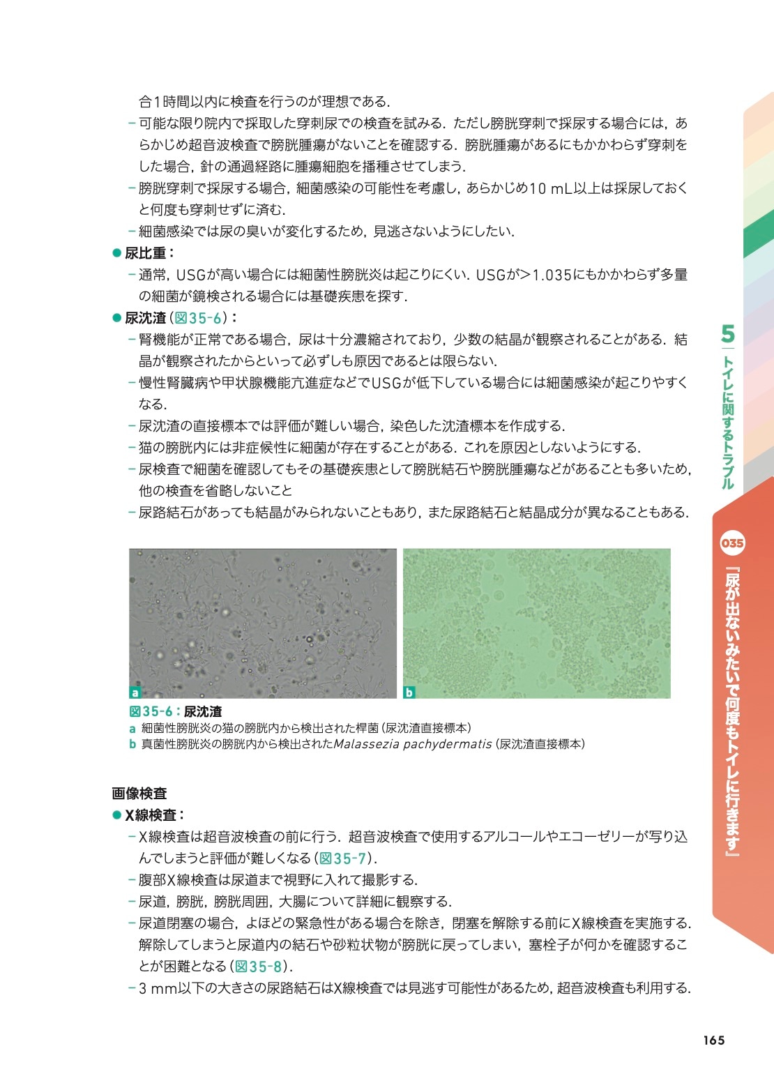 こう考える！ 猫の主訴100から紐解く診療ハンドブック | 臨床獣医学