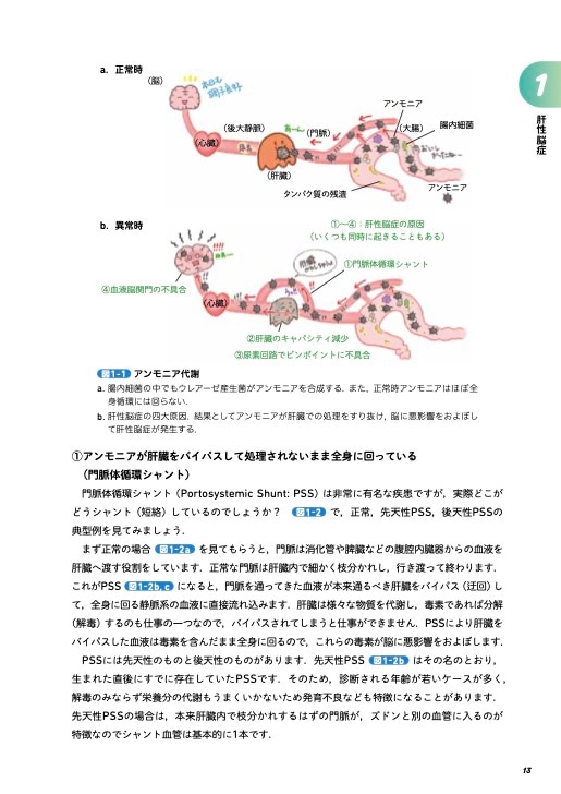 イラストでわかる！病気のしくみ 犬と猫の病態生理 | 臨床獣医学,内科