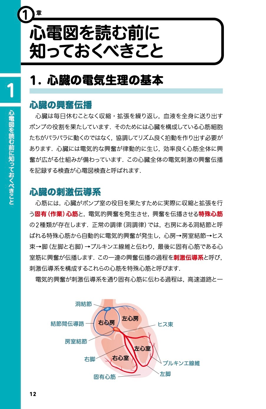 診療現場ですぐ役立つ！犬と猫の心電図 増補改訂版 | 臨床獣医学,検査