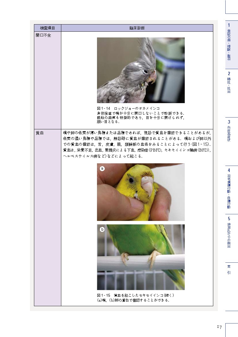 エキゾチック臨床シリーズ Vol.7 飼い鳥の鑑別診断と治療 Part 1