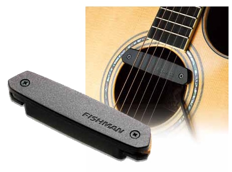 FISHMAN サウンドホールピックアップ PRO-NEO-D01 Single〈フィッシュ