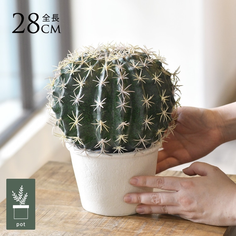 フェイクグリーン 鉢付き サボテン おしゃれ 多肉植物 ボールサボテン