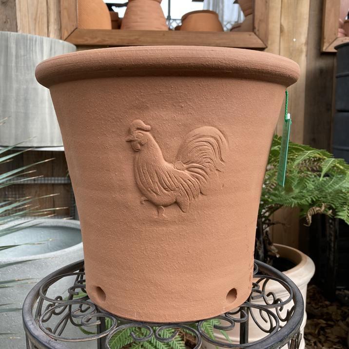 テラコッタ鉢 ウィッチフォード Whichford Cockerel Pot 793（代引き